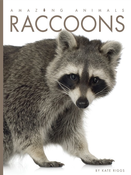 Title details for Raccoons by Kate Riggs - Available